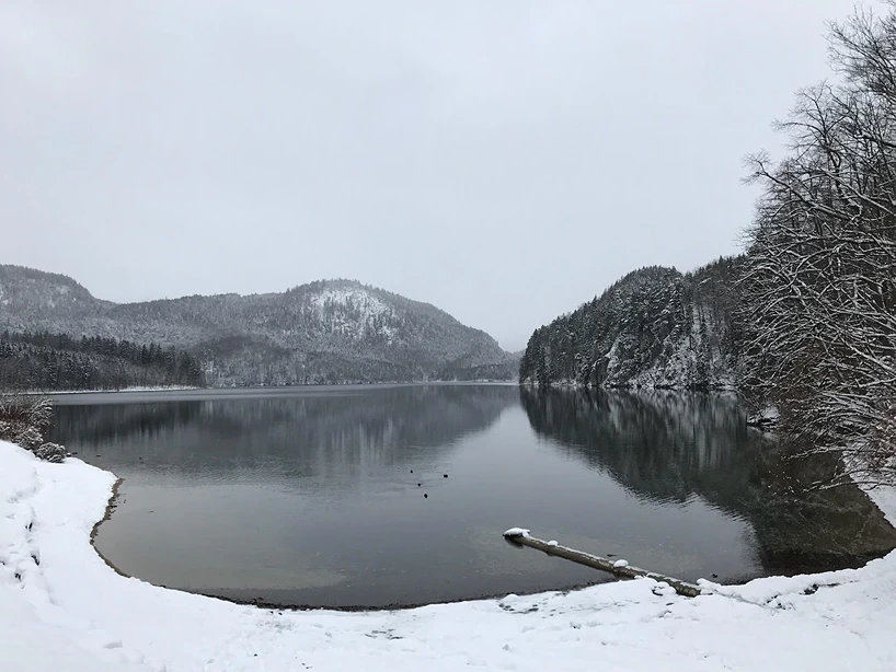 Exploring Neuschwanstein Castle: The Ultimate Travel Guide to Germany's Dream Castle 4 Alpsee Lake