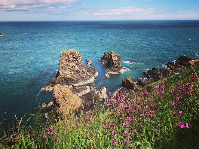 Heather Dunnottar Castle